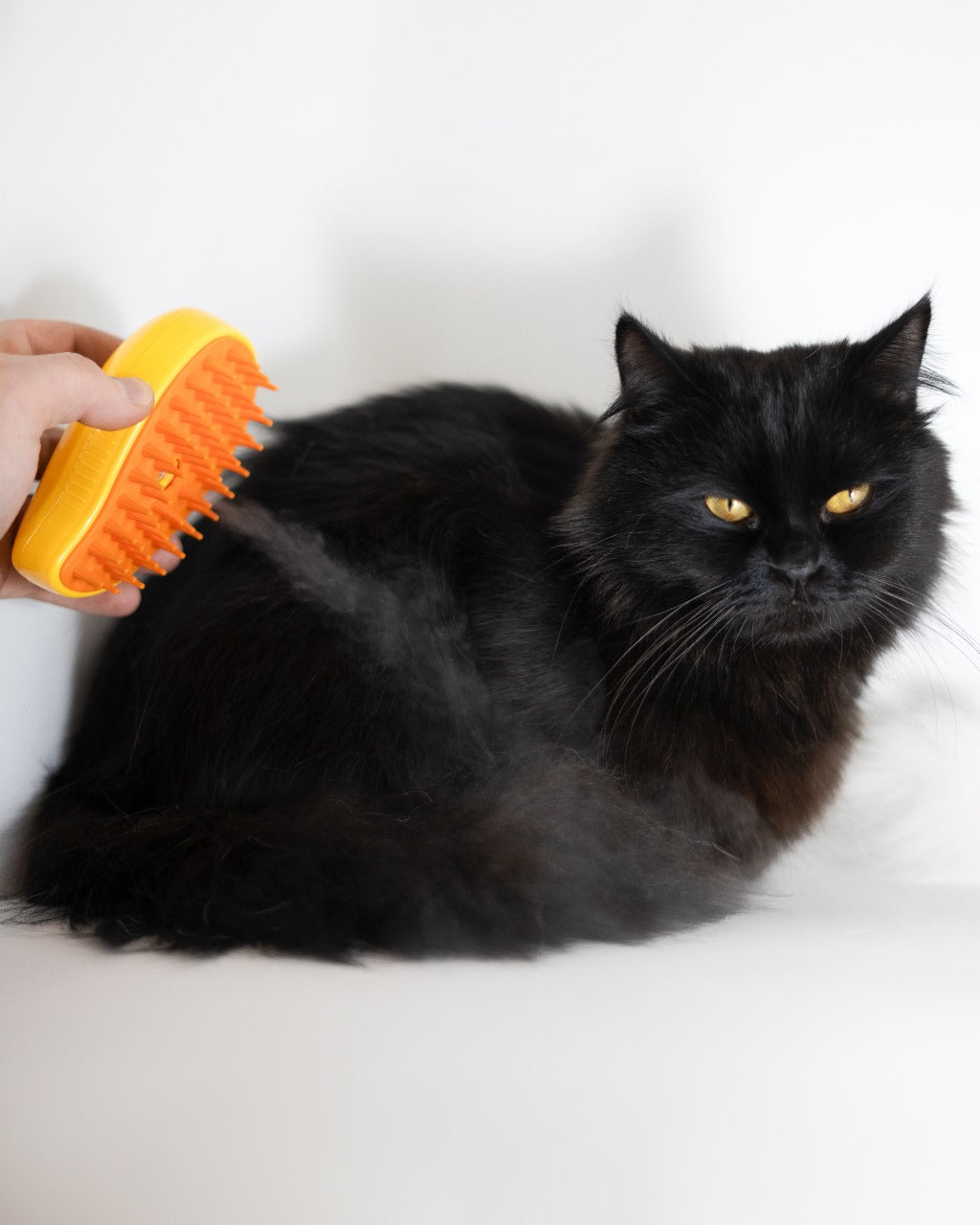 Pet Spray Massage Brush