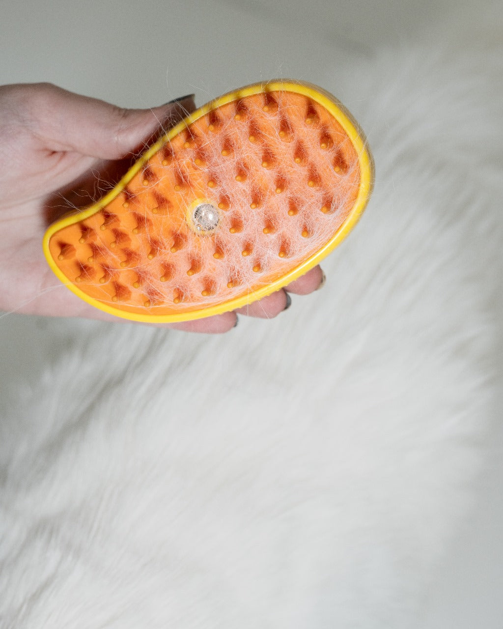 Pet Spray Massage Brush