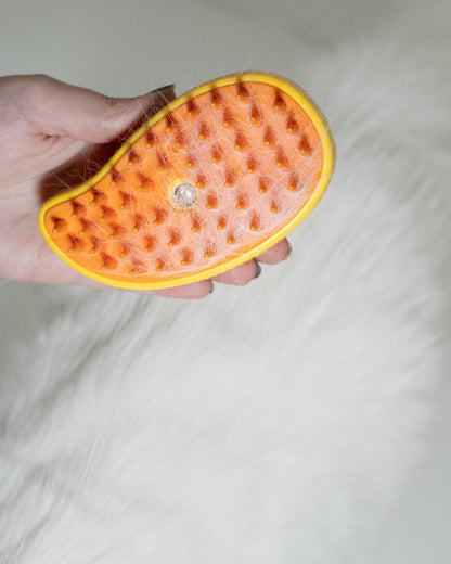 Pet Spray Massage Brush