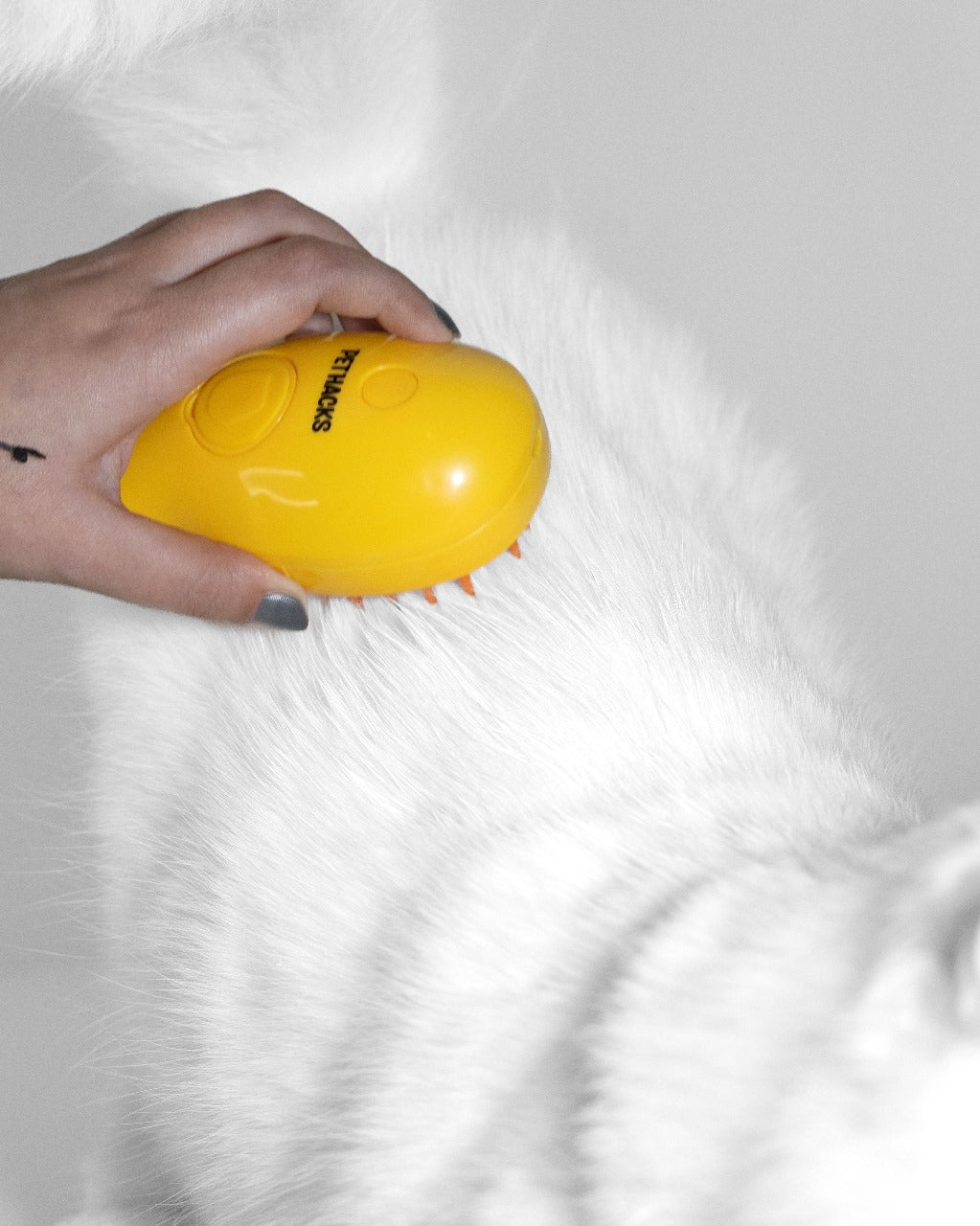 Pet Spray Massage Brush