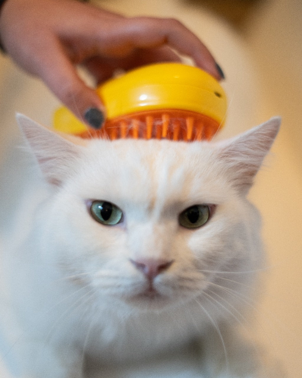 Pet Spray Massage Brush